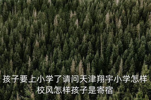孩子要上小學了請問天津翔宇小學怎樣校風怎樣孩子是寄宿