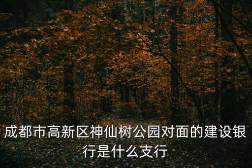 成都市高新區(qū)神仙樹公園對面的建設(shè)銀行是什么支行