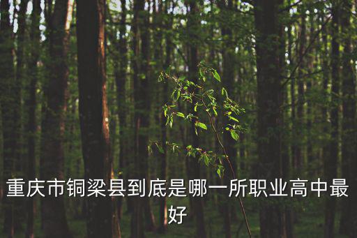 重慶市銅梁區(qū)國標(biāo)舞協(xié)會(huì)，2014年重慶市銅梁區(qū)的社平工資是多少
