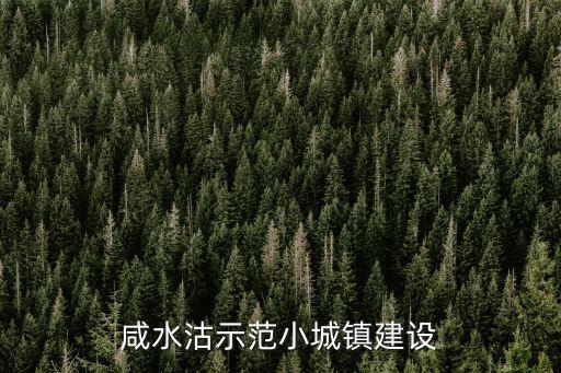 咸水沽示范小城鎮建設