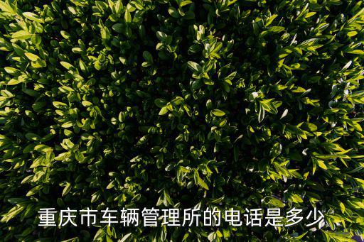 重慶市車輛管理所的電話是多少