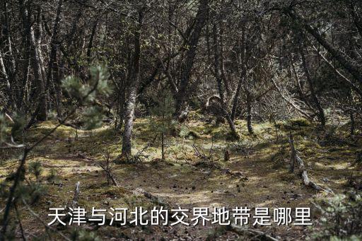 天津與河北的交界地帶是哪里