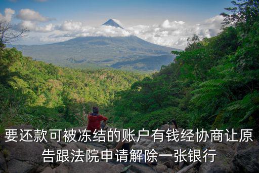 要還款可被凍結(jié)的賬戶有錢(qián)經(jīng)協(xié)商讓原告跟法院申請(qǐng)解除一張銀行