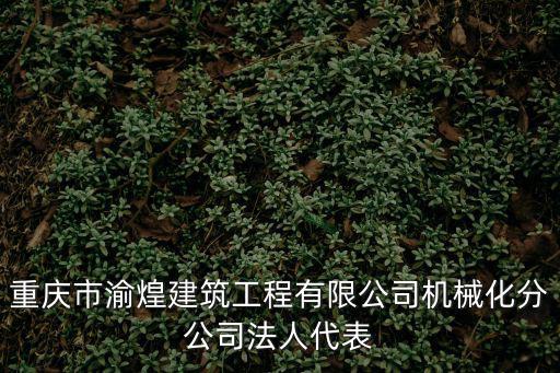 重慶市渝煌建筑工程有限公司機械化分公司法人代表