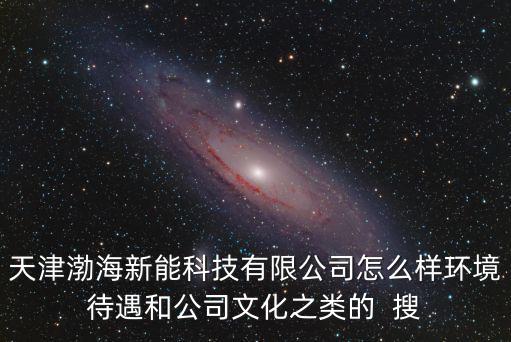 天津市渤海新能源科技有限公司招聘信息，天津渤海新能科技有限公司怎么樣環境待遇和公司文化之類的  搜