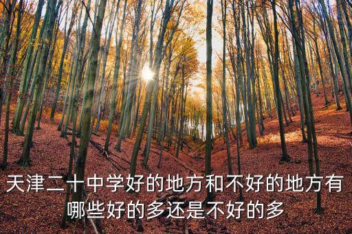 天津二十中學好的地方和不好的地方有哪些好的多還是不好的多