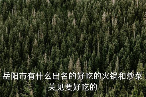重慶市井火鍋岳陽(yáng)，范世錡在藏地密碼中飾演的岳陽(yáng)是一個(gè)什么樣的人
