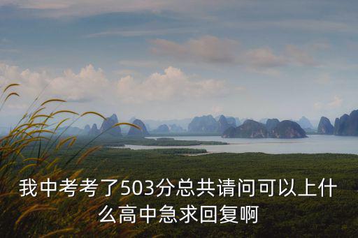 我中考考了503分總共請問可以上什么高中急求回復啊