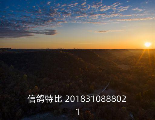 信鴿特比 2018310888021