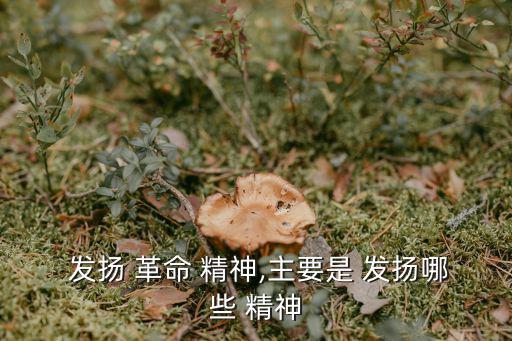  發(fā)揚(yáng) 革命 精神,主要是 發(fā)揚(yáng)哪些 精神