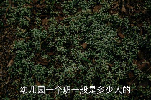 幼兒園一個班一般是多少人的