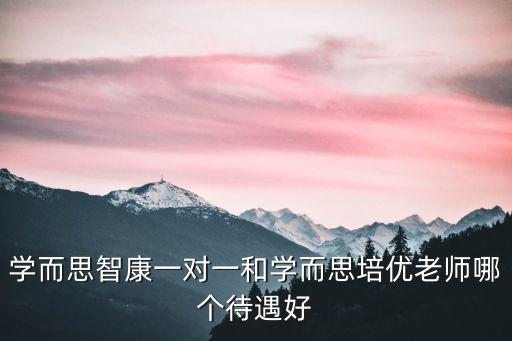 天津市學而思和愛智康哪個好，學而思智康一對一和學而思培優老師哪個待遇好