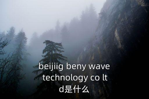 beijiig beny wave technology co ltd是什么