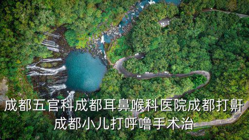 成都五官科成都耳鼻喉科醫院成都打鼾成都小兒打呼嚕手術治