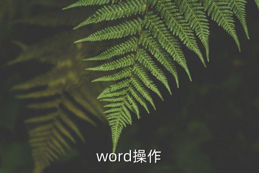 word使用，WORD使用超級小竅門介紹幾個