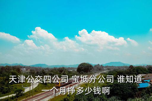 天津市野肆公司全稱，天津公交四公司 寶坻分公司 誰知道一個月掙多少錢啊