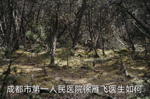 成都市第一人民醫(yī)院徐雁飛醫(yī)生如何