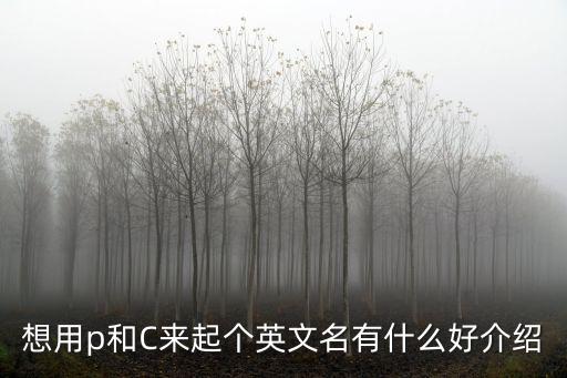 想用p和C來(lái)起個(gè)英文名有什么好介紹