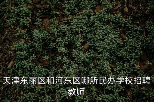 天津東麗區和河東區哪所民辦學校招聘教師