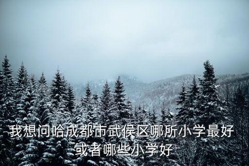 我想問哈成都市武侯區(qū)哪所小學(xué)最好 或者哪些小學(xué)好