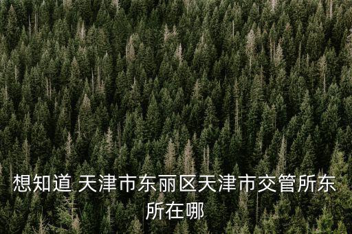 想知道 天津市東麗區天津市交管所東所在哪