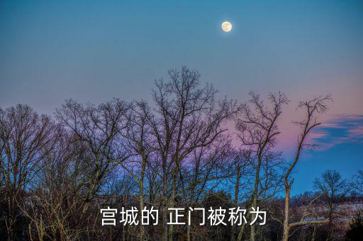宮城的正門,故宮正門朝東北方向九個城門朝南