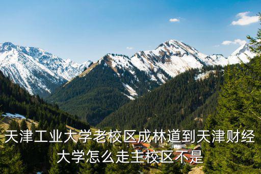天津市成林路，天津地鐵4號線成林道站在哪個位置建