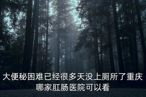 重慶市魚洞中廁所，重慶有多少個廁所