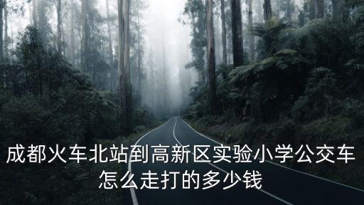 成都火車北站到高新區實驗小學公交車怎么走打的多少錢
