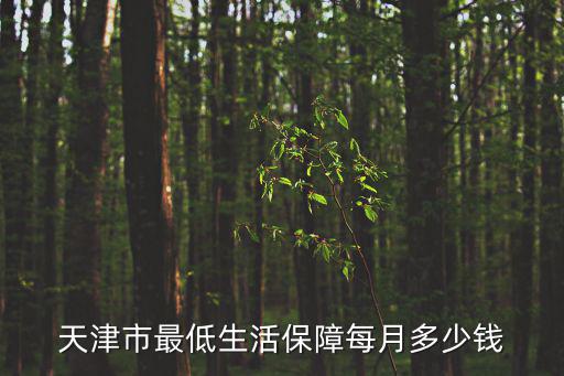 天津市最低生活保障每月多少錢