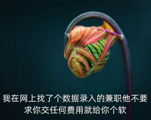 我在網上找了個數據錄入的兼職他不要求你交任何費用就給你個軟