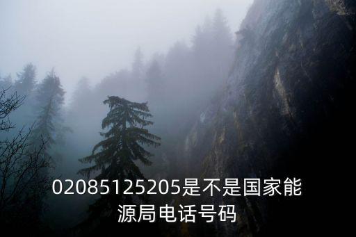 成都市有能源管理局嗎，02085125205是不是國家能源局電話號碼