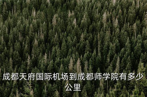 成都天府國際機場到成都師學院有多少公里
