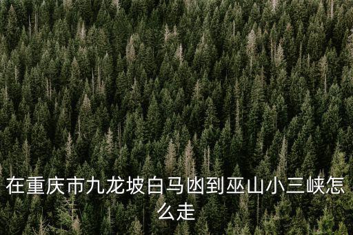 在重慶市九龍坡白馬凼到巫山小三峽怎么走