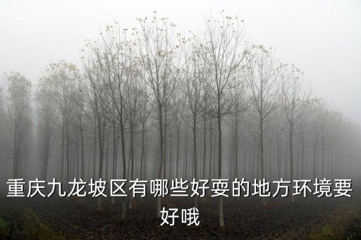 重慶九龍坡區(qū)有哪些好耍的地方環(huán)境要好哦