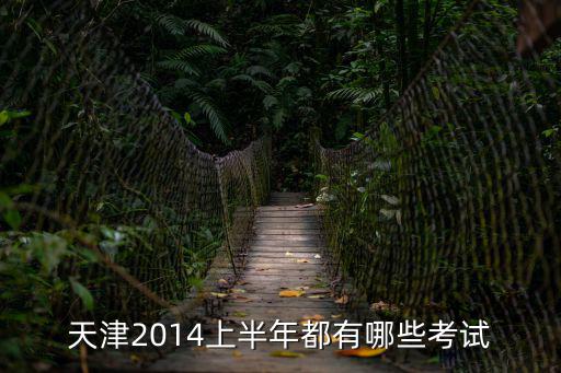 天津2014上半年都有哪些考試