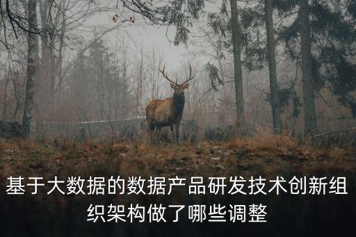 基于大數(shù)據(jù)的數(shù)據(jù)產(chǎn)品研發(fā)技術(shù)創(chuàng)新組織架構(gòu)做了哪些調(diào)整