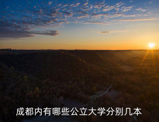 成都內有哪些公立大學分別幾本