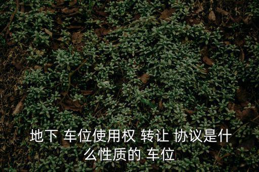 地下 車位使用權(quán) 轉(zhuǎn)讓 協(xié)議是什么性質(zhì)的 車位