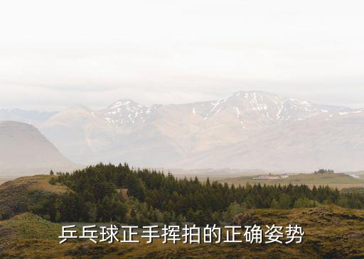 揮拍,乒乓球常規(guī)準(zhǔn)備姿勢:握拳時先向右轉(zhuǎn)引拍
