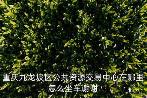 重慶九龍坡區(qū)公共資源交易中心在哪里怎么坐車謝謝