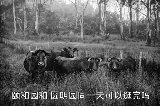  頤和園和 圓明園同一天可以逛完嗎