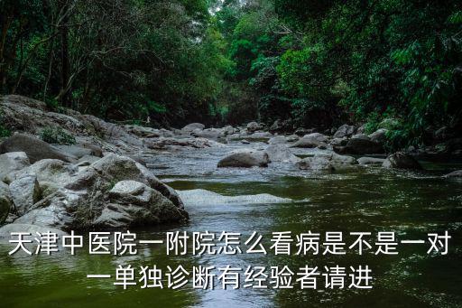 天津中醫院一附院怎么看病是不是一對一單獨診斷有經驗者請進