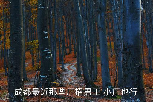 成都最近那些廠招男工 小廠也行