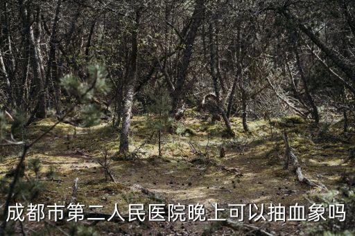 成都市二醫(yī)院晚上能查血常規(guī)嗎，成都市第二人民醫(yī)院晚上可以抽血象嗎