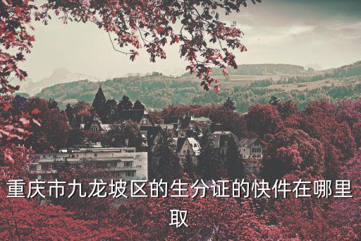 重慶市九龍坡區的生分證的快件在哪里取
