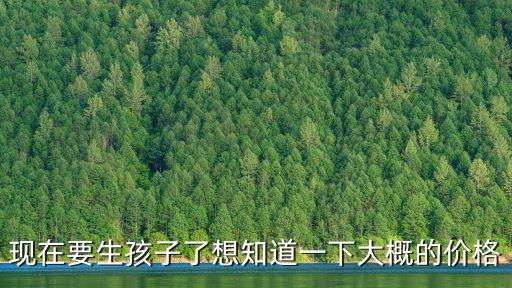 現在要生孩子了想知道一下大概的價格