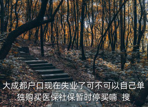 大成都戶口現(xiàn)在失業(yè)了可不可以自己?jiǎn)为?dú)購(gòu)買醫(yī)保社保暫時(shí)停買喃  搜