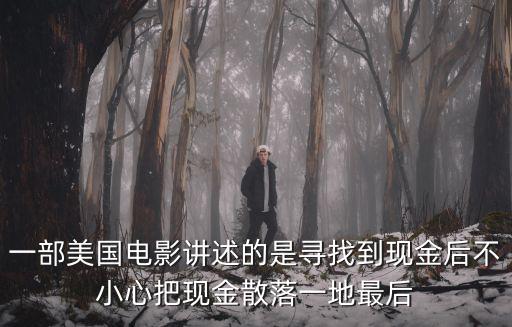 一部美國電影講述的是尋找到現金后不小心把現金散落一地最后