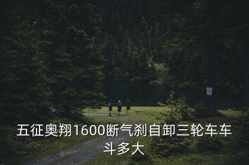 成都市五征最新三輪車(chē)斷氣剎，五征多缸大三輪 高低速 斷氣剎 490機(jī)新車(chē)多少錢(qián)